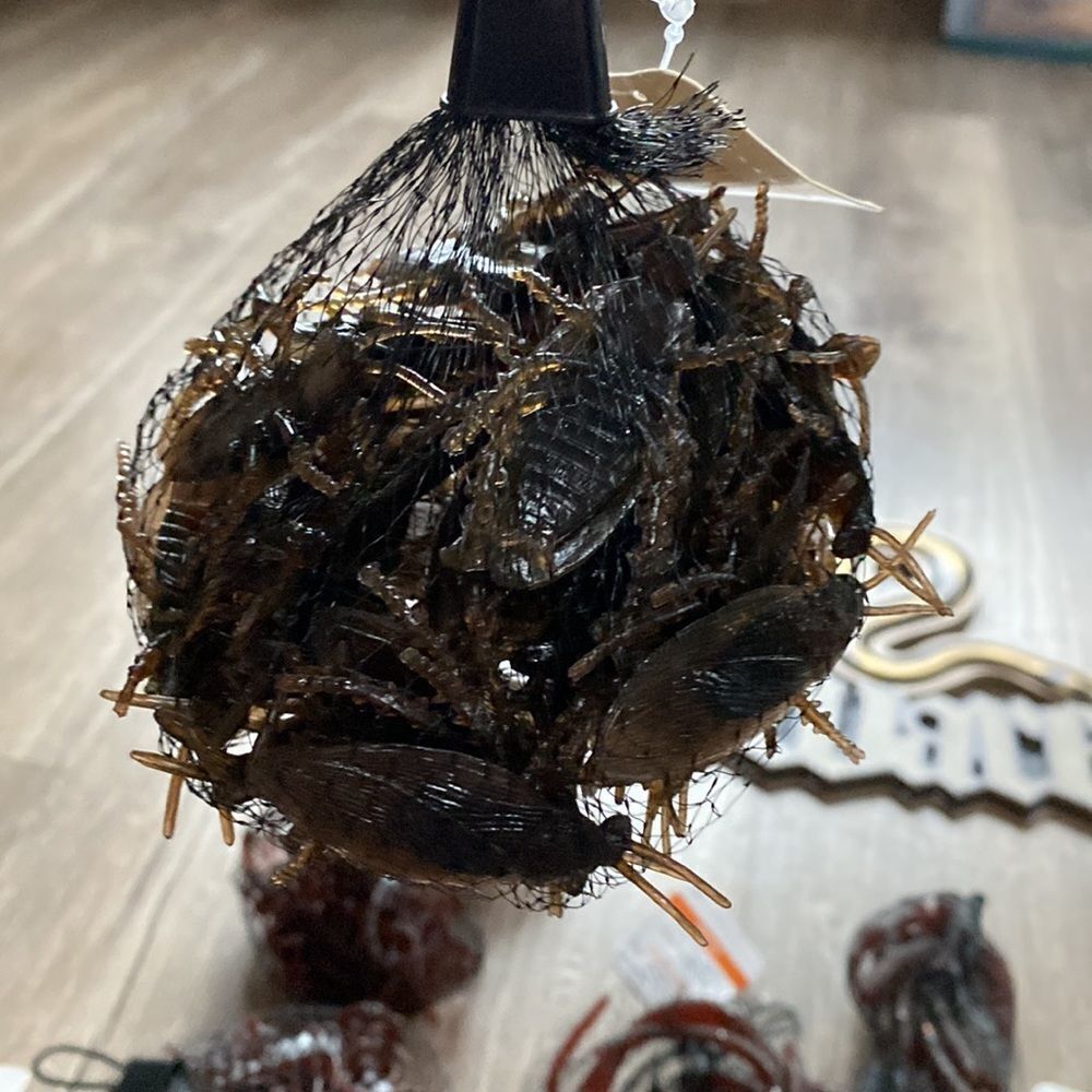 NEW Halloween Bundle (2) Fake Roaches (40 pieces each / 80 total)